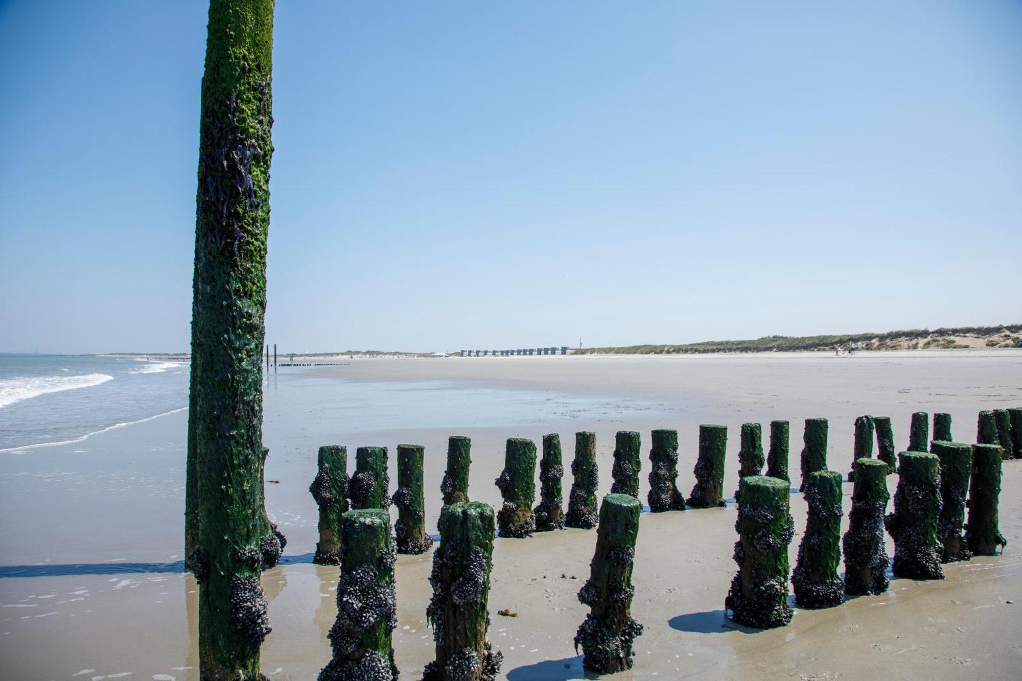 Zonneweelde, Vakantie Aan Zee Nieuwvliet Kültér fotó
